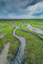 BUITEN BEELD Foto: 245628