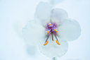 BUITEN BEELD Foto: 245631