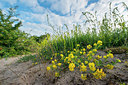 BUITEN BEELD Foto: 245678