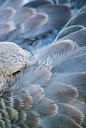BUITEN BEELD Foto: 245704