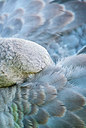 BUITEN BEELD Foto: 245705