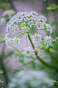 BUITEN BEELD Foto: 245739
