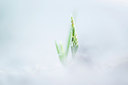 BUITEN BEELD Foto: 245745