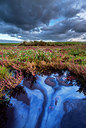 BUITEN BEELD Foto: 245899