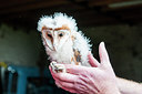 BUITEN BEELD Foto: 245921