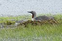BUITEN BEELD Foto: 245966