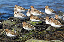 BUITEN BEELD Foto: 246081