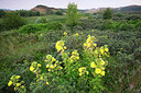 BUITEN BEELD Foto: 246085