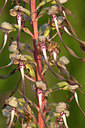 BUITEN BEELD Foto: 246100