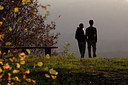 BUITEN BEELD Foto: 246165