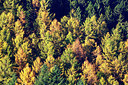 BUITEN BEELD Foto: 246207