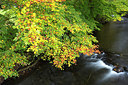 BUITEN BEELD Foto: 246208