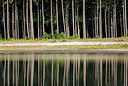 BUITEN BEELD Foto: 246238