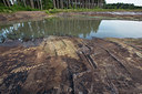 BUITEN BEELD Foto: 246239