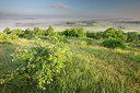BUITEN BEELD Foto: 246250