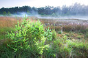 BUITEN BEELD Foto: 246262