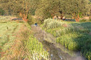 BUITEN BEELD Foto: 246269