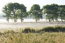 BUITEN BEELD Foto: 246272