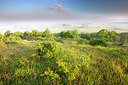 BUITEN BEELD Foto: 246275