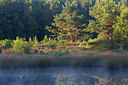 BUITEN BEELD Foto: 246288