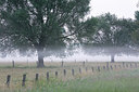 BUITEN BEELD Foto: 246299