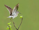 BUITEN BEELD Foto: 246346