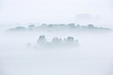 BUITEN BEELD Foto: 246348