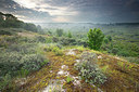 BUITEN BEELD Foto: 246351