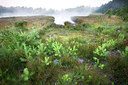 BUITEN BEELD Foto: 246353