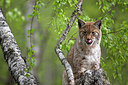 BUITEN BEELD Foto: 246368