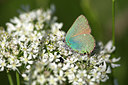 BUITEN BEELD Foto: 246393