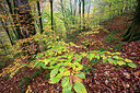 BUITEN BEELD Foto: 246433