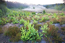 BUITEN BEELD Foto: 246440