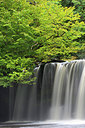 BUITEN BEELD Foto: 246515