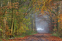BUITEN BEELD Foto: 246557