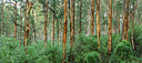 BUITEN BEELD Foto: 246562