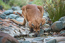 BUITEN BEELD Foto: 246588