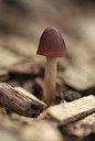BUITEN BEELD Foto: 246596