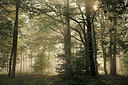 BUITEN BEELD Foto: 246611