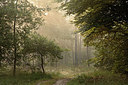 BUITEN BEELD Foto: 246612
