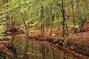 BUITEN BEELD Foto: 246620