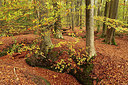 BUITEN BEELD Foto: 246624