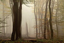 BUITEN BEELD Foto: 246660