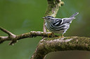BUITEN BEELD Foto: 246713
