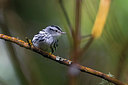 BUITEN BEELD Foto: 246720