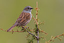 BUITEN BEELD Foto: 246856