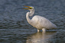 BUITEN BEELD Foto: 246885