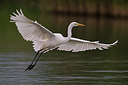 BUITEN BEELD Foto: 246886