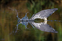 BUITEN BEELD Foto: 246916
