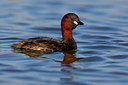 BUITEN BEELD Foto: 246946